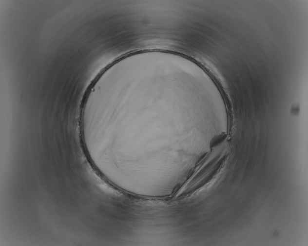 X0000091850941200710031638