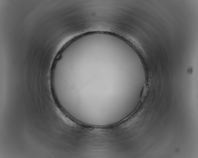 X0000091850942200710031638