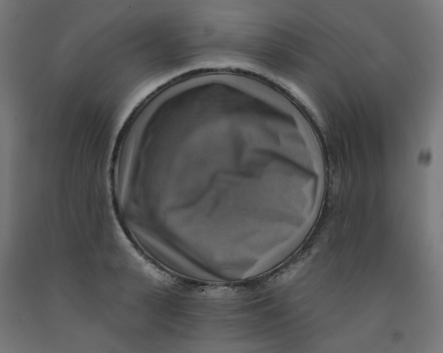 X0000091850943200710031638