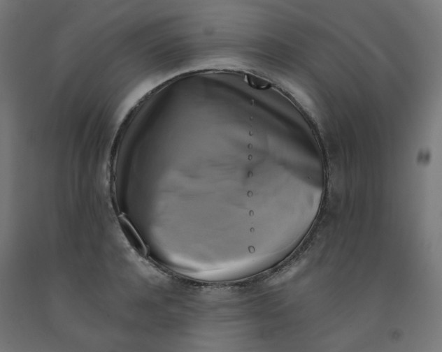 X0000091850944200710031638