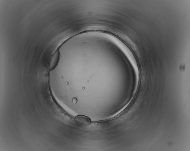 X0000091850945200710031638