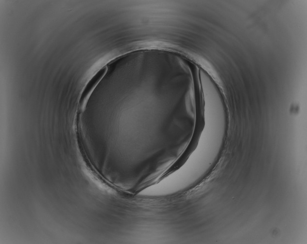 X0000091850946200710031638