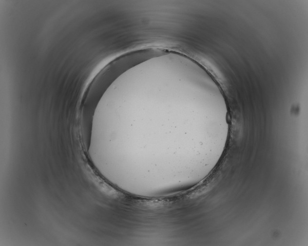 X0000091850948200710031638