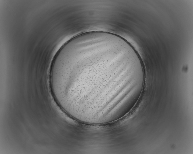X0000091850949200710031638
