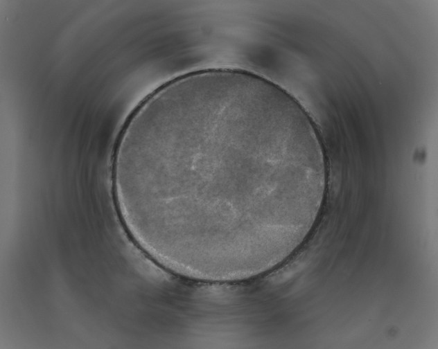 X0000091850950200710031638