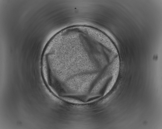 X0000091850951200710031638