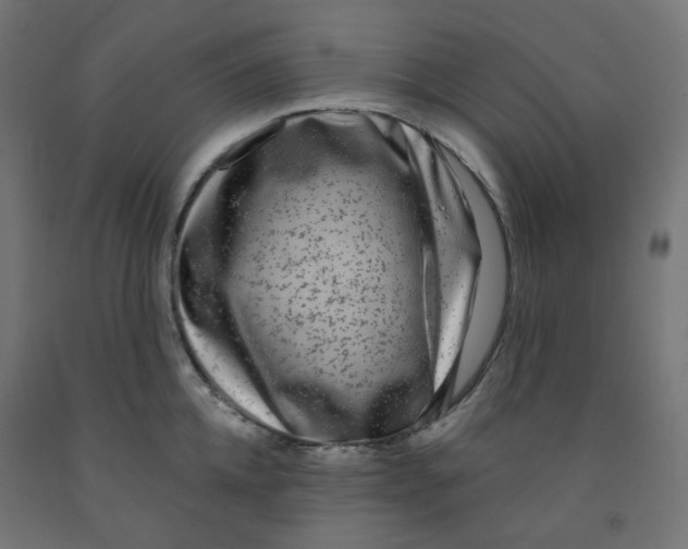 X0000091850952200710031638