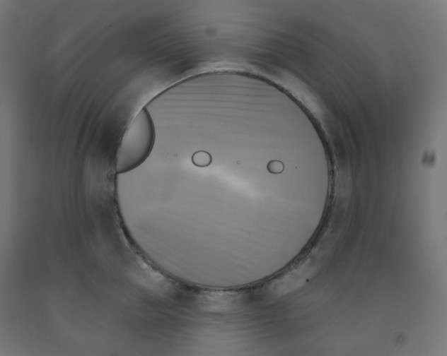 X0000091850953200710031638