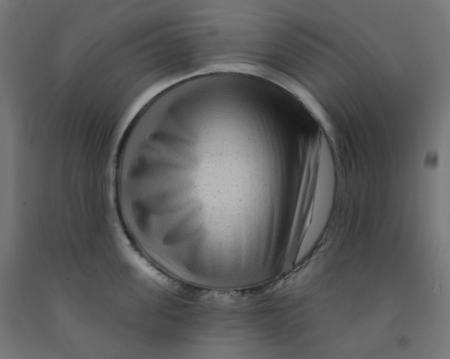 X0000091850955200710031638