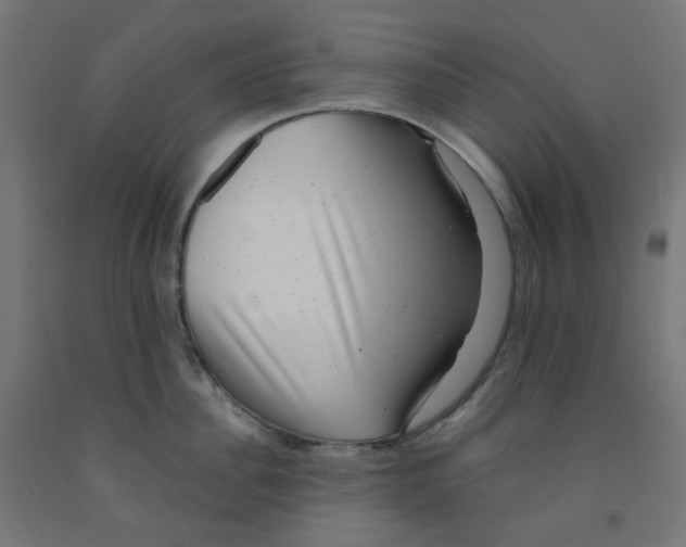 X0000091850956200710031638