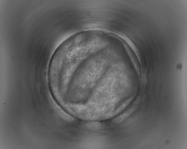 X0000091850957200710031638