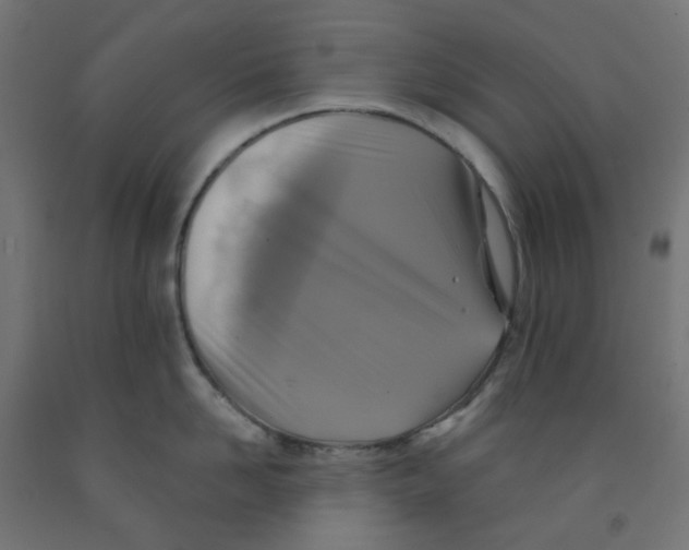 X0000091850958200710031638