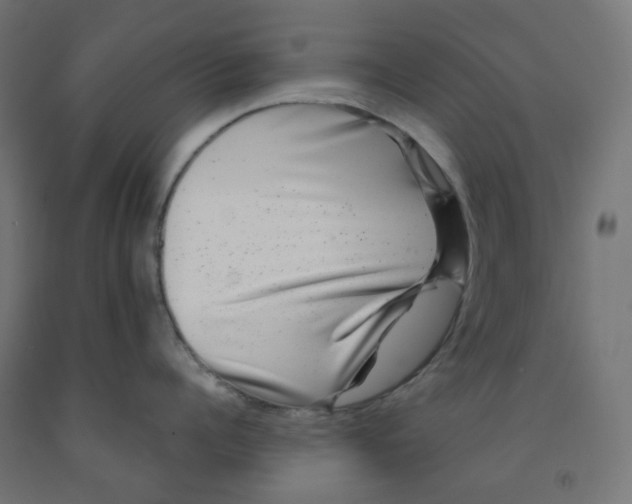 X0000091850960200710031638