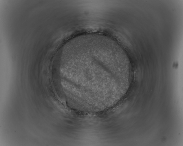 X0000091850961200710031638