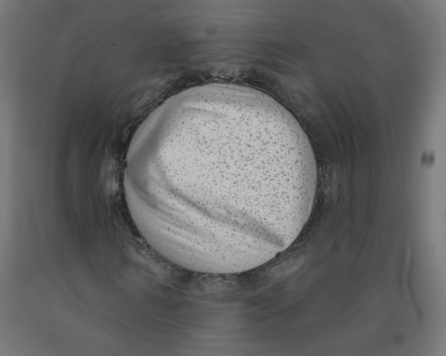 X0000091850962200710031638