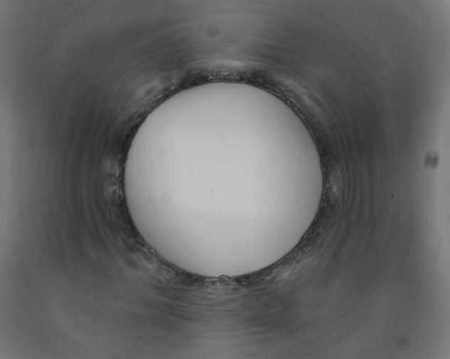 X0000091850964200710031638