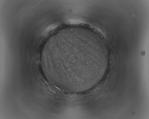 X0000091850965200710031638