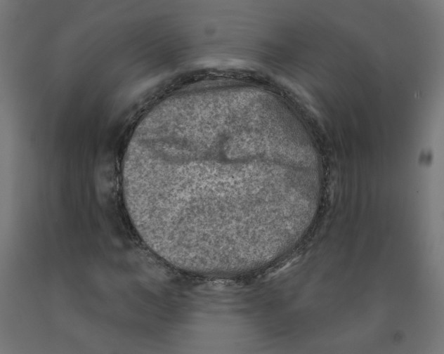 X0000091850966200710031638