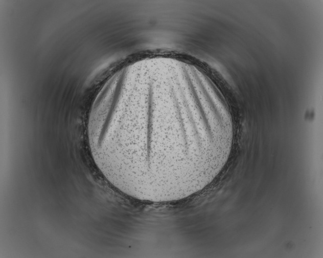 X0000091850967200710031638