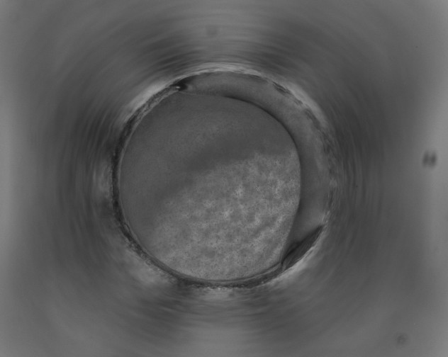 X0000091850969200710031637