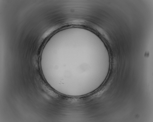 X0000091850970200710031637
