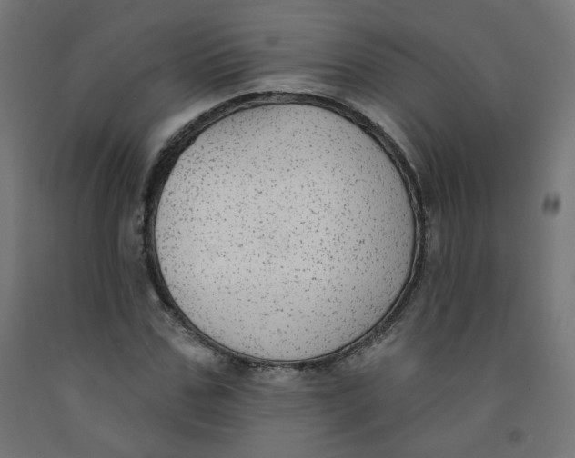 X0000091850971200710031637