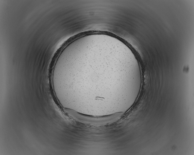 X0000091850972200710031637