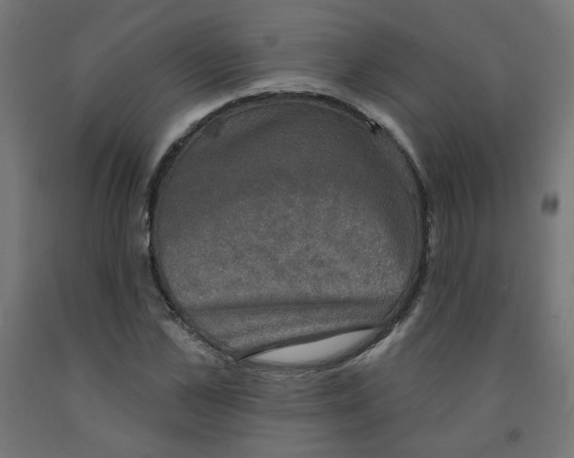 X0000091850973200710031637