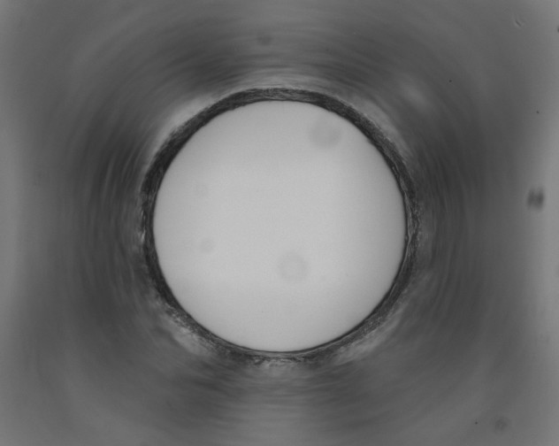 X0000091850974200710031637
