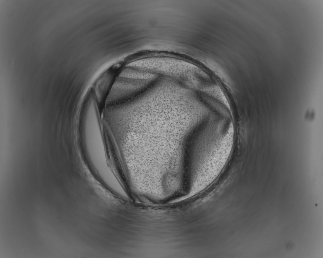 X0000091850976200710031637