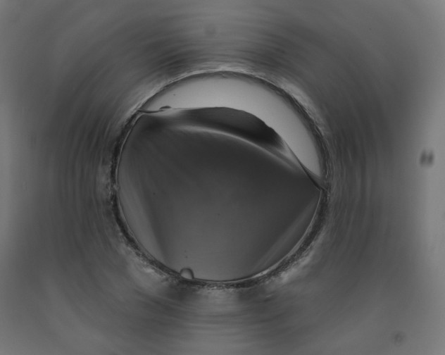 X0000091850977200710031637