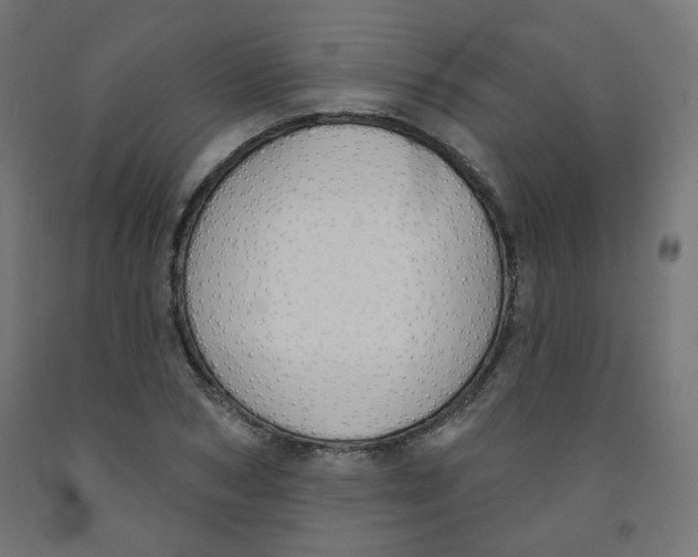 X0000091850978200710031637