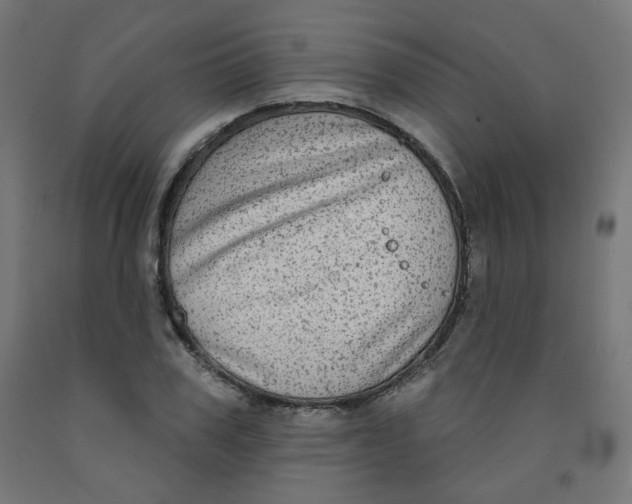 X0000091850979200710031637