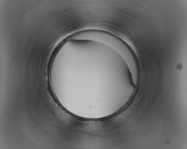 X0000091850980200710031637