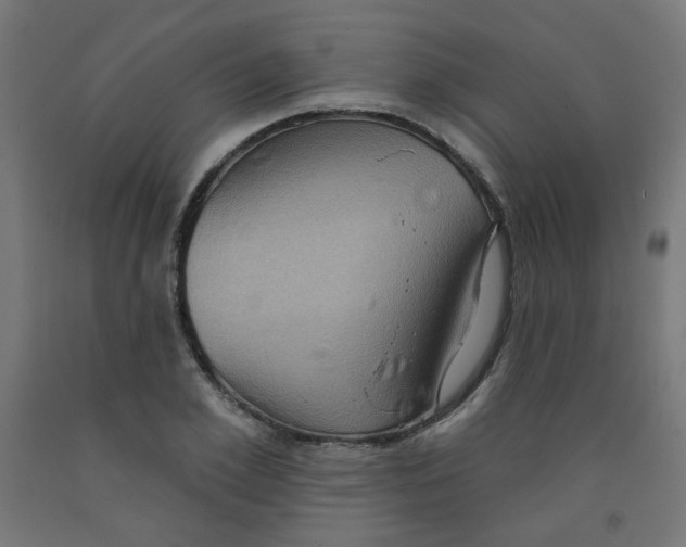 X0000091850981200710031637