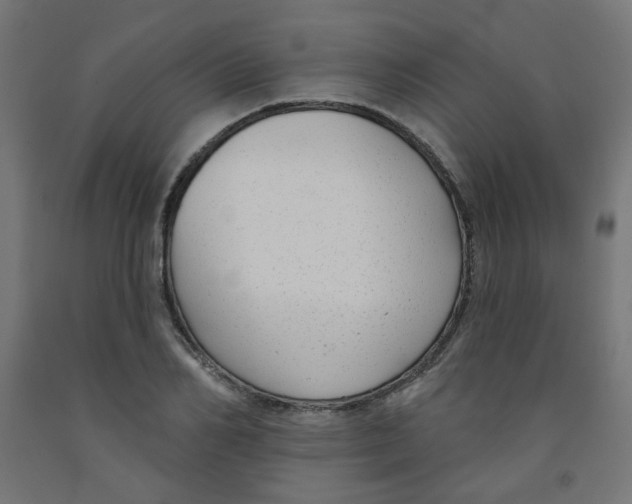 X0000091850982200710031637