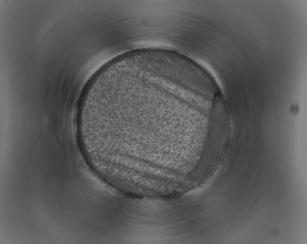 X0000091850983200710031637