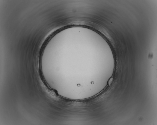 X0000091850984200710031637