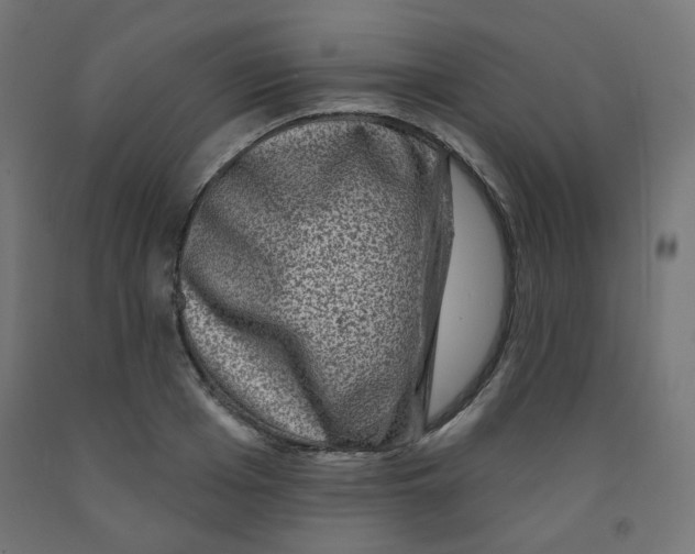 X0000091850985200710031637