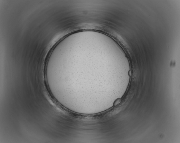X0000091850986200710031637
