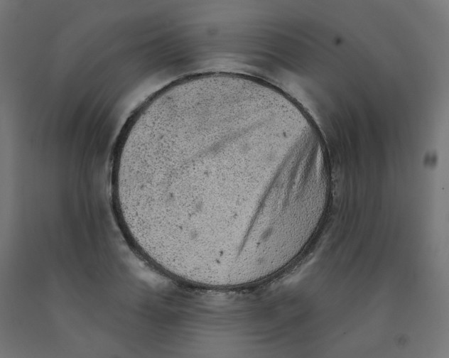 X0000091850987200710031637