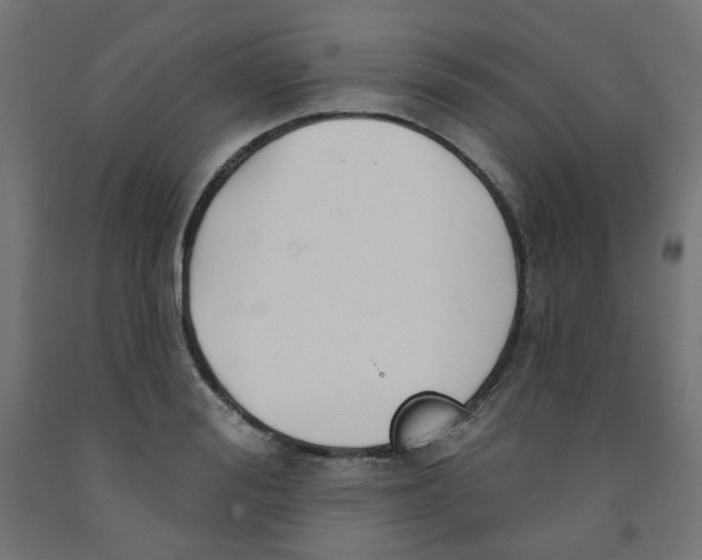 X0000091850988200710031637