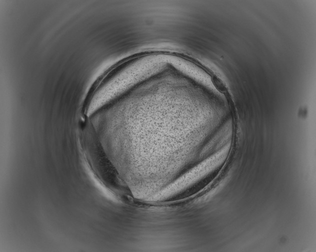 X0000091850989200710031637