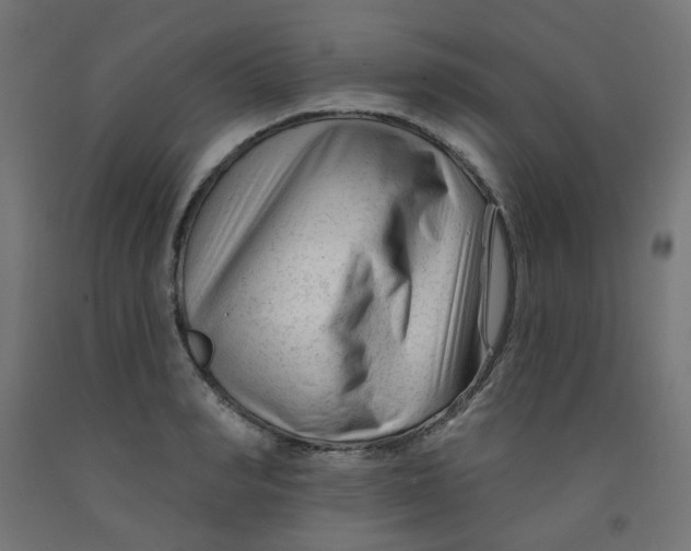 X0000091850990200710031637