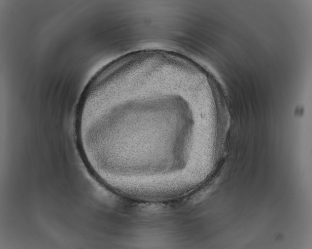 X0000091850991200710031637