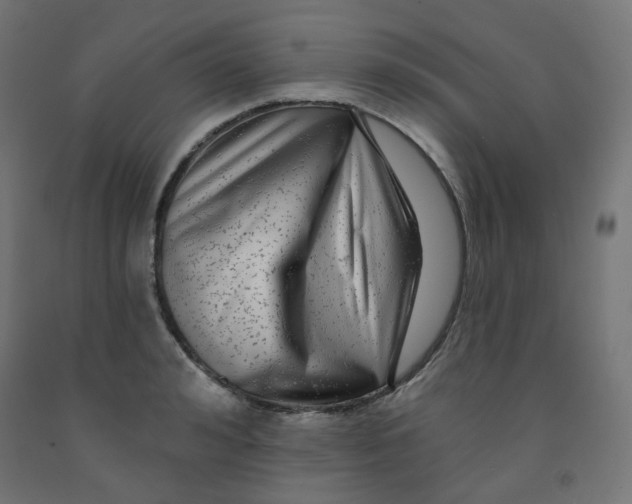 X0000091850992200710031637