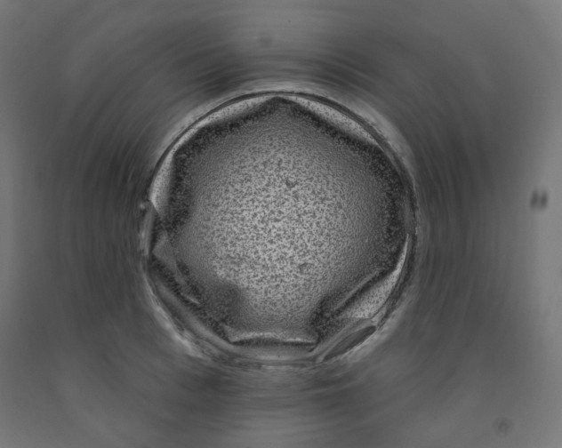 X0000091850993200710031637