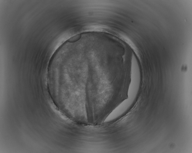 X0000091850994200710031637