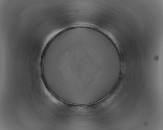 X0000091850995200710031637
