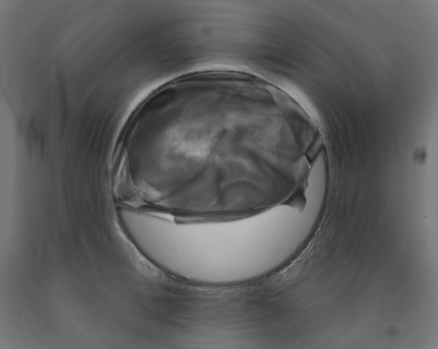 X0000091850996200710031637